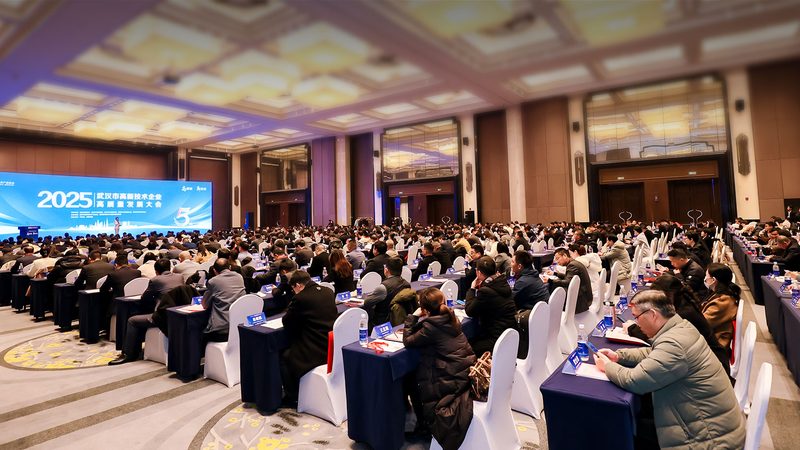 IT外包合同付款方式：解析与选择**